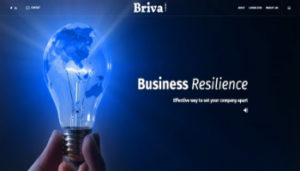 Briva - Business resilience